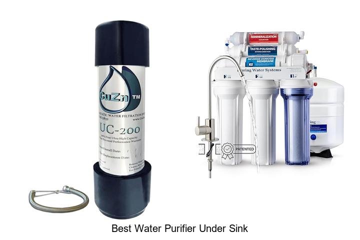 Top Pick: Best Water Purifier Under Sink!