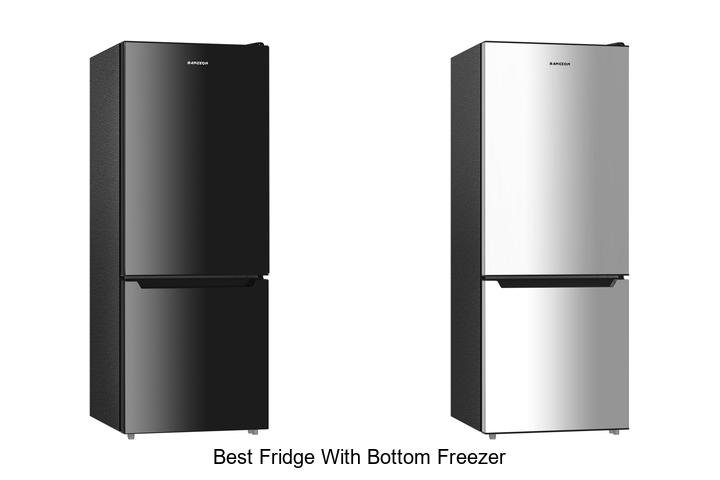 Best Fridge With Bottom Freezer You Can’t Miss Today!