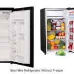 Best Mini Refrigerator Without Freezer You Must See Today