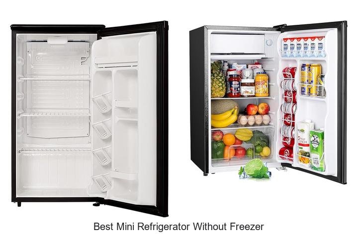 Best Mini Refrigerator Without Freezer You Must See Today