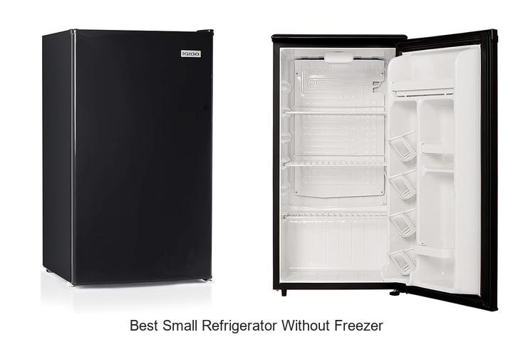 Best Small Refrigerator Without Freezer You Need Today